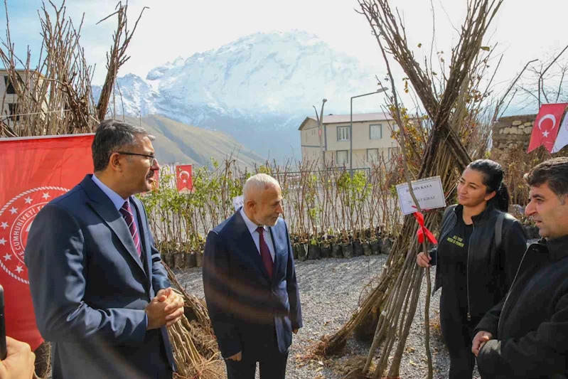 Hakkari’de 31 bin 460 meyve fidanı dağıtıldı
