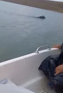 Baraj’da yüzen ayı balıkçılar tarafından görüntülendi
