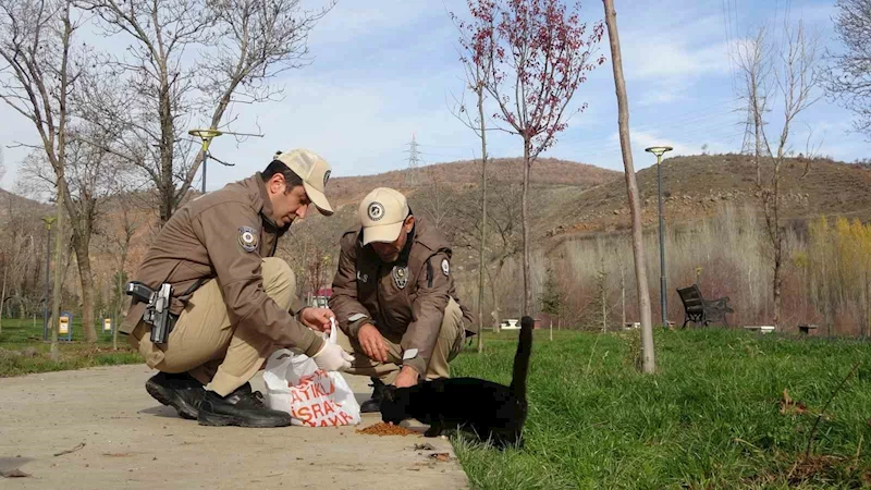 Bingöl’de HAYDİ ekipleri can dostları unutmuyor
