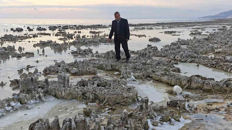 Kuraklık Van Gölü sahilini mikrobiyalit tarlasına dönüştürdü
