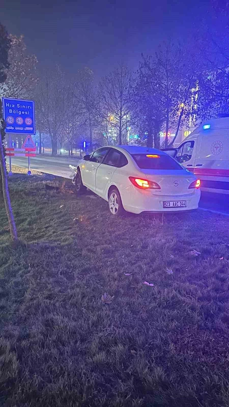 Elazığ’da otomobil aydınlatma direğine çarptı : 1 yaralı
