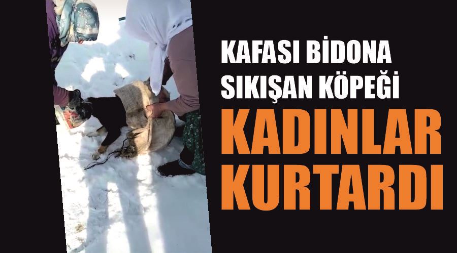 Kafası bidona sıkışan köpeği kadınlar kurtardı