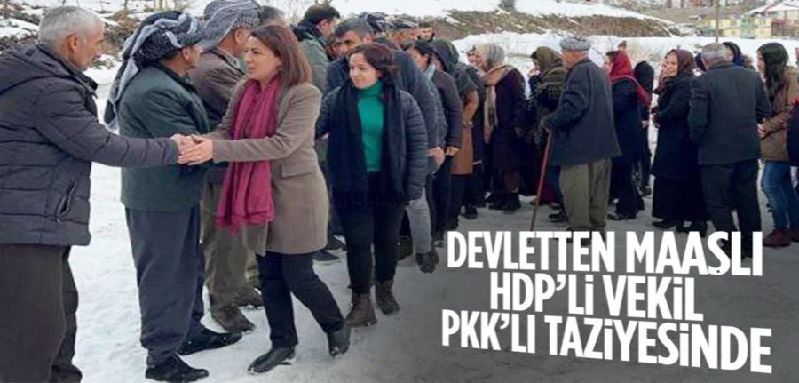 HDP