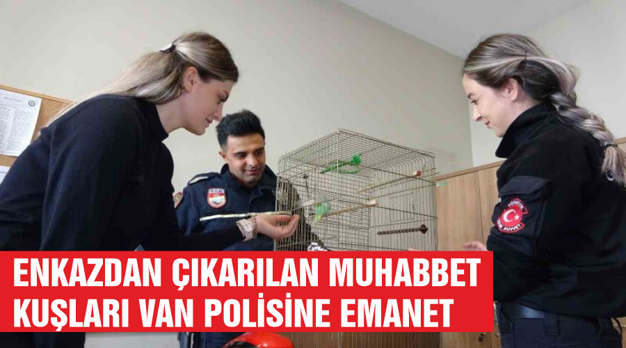 Enkazdan çıkarılan muhabbet kuşları Van polisine emanet