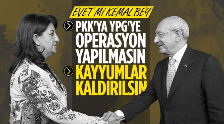 HDP
