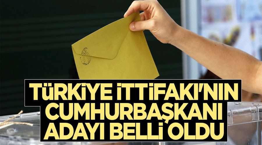 10 partinin bir araya geldiği Türkiye İttifakı