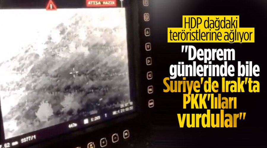 HDP