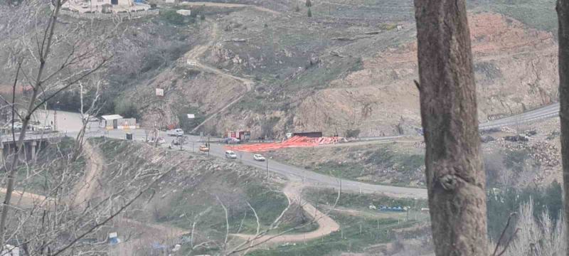 Elazığ’da virajı alamayan kanyom devrildi: 1 yaralı
