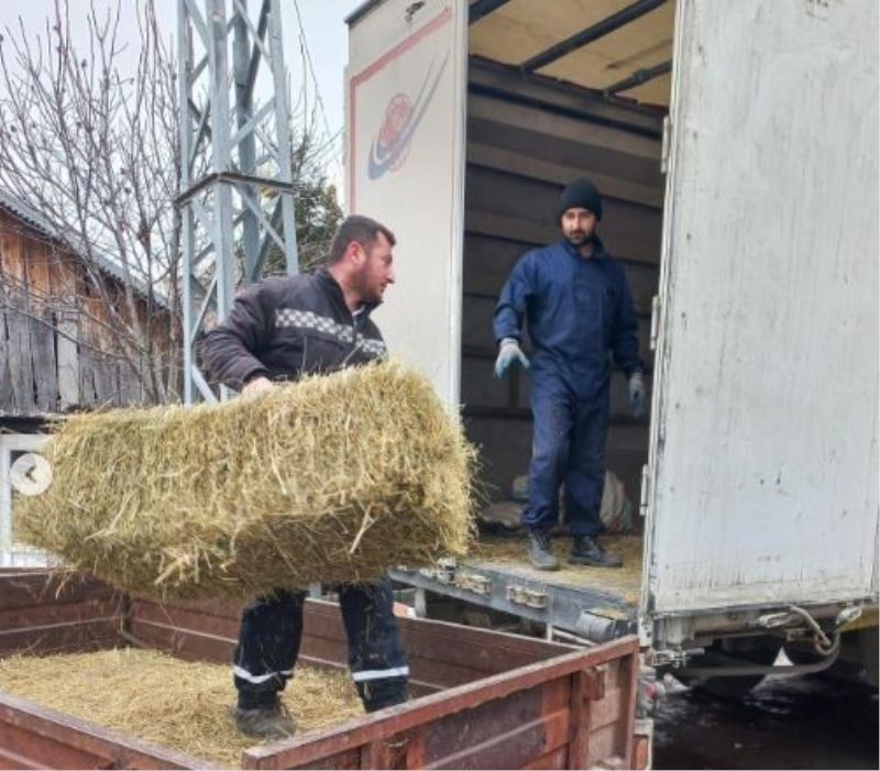 Ardahan’dan deprem bölgesine saman, yem ve 79 adet küçükbaş hayvan gönderildi
