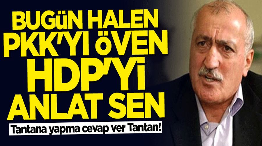 Tantana yapma cevap ver Tantan! Bugün halen PKK