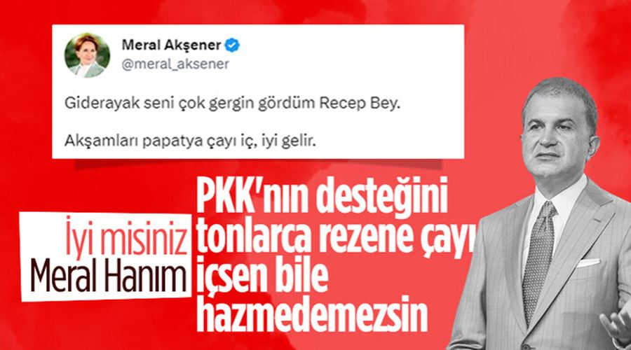Ömer Çelik