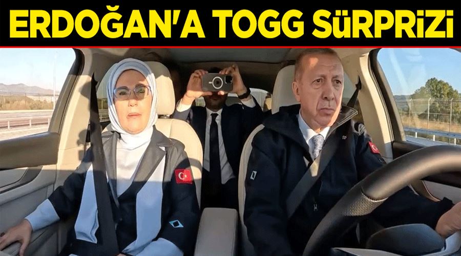 Erdoğan