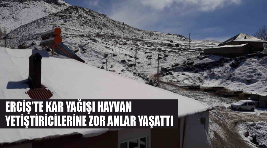 Erciş’te kar yağışı hayvan yetiştiricilerine zor anlar yaşattı