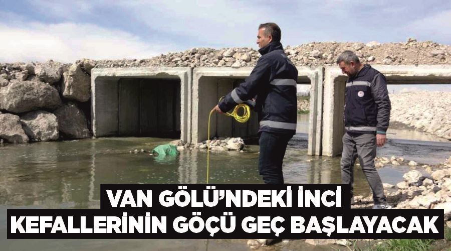 Van Gölü’ndeki inci kefallerinin göçü geç başlayacak
