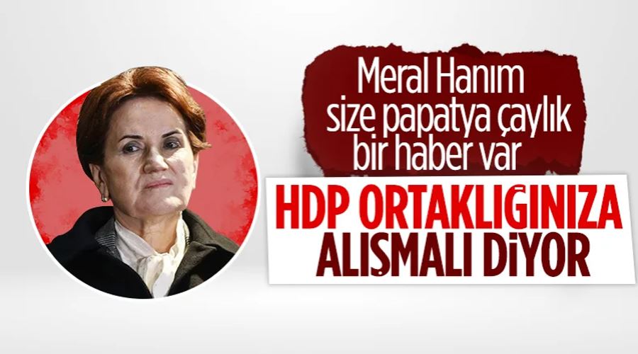 HDP