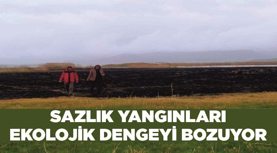 Sazlık yangınları ekolojik dengeyi bozuyor
