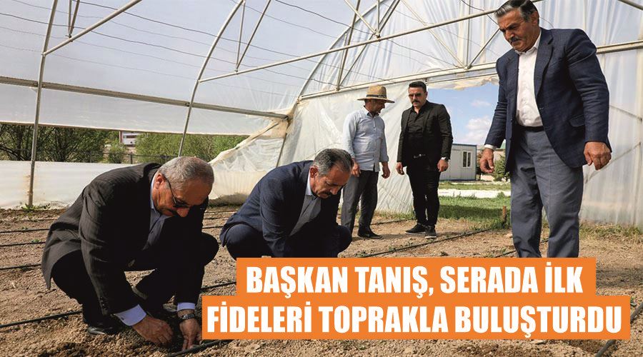 Başkan Tanış, serada ilk fideleri toprakla buluşturdu