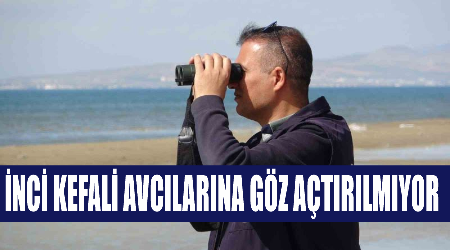 İnci kefali avcılarına göz açtırılmıyor