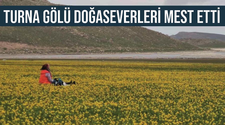 Turna Gölü doğaseverleri mest etti