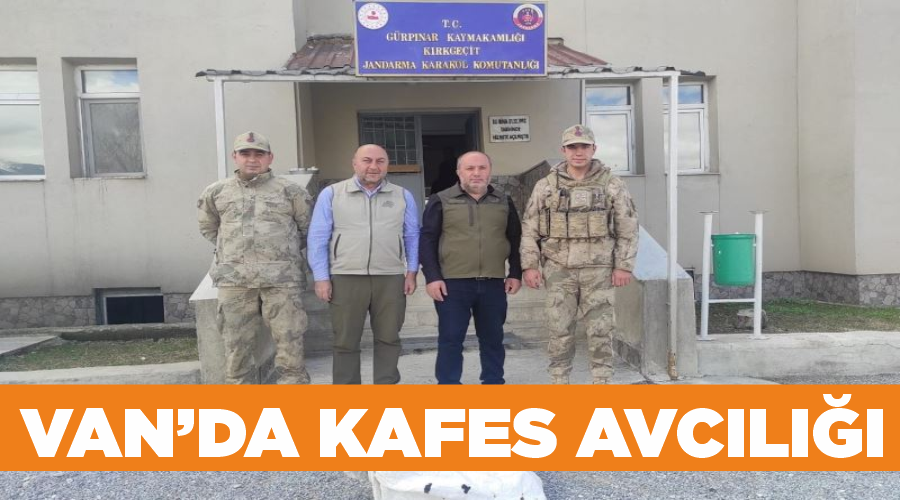 Van’da kafes avcılığı
