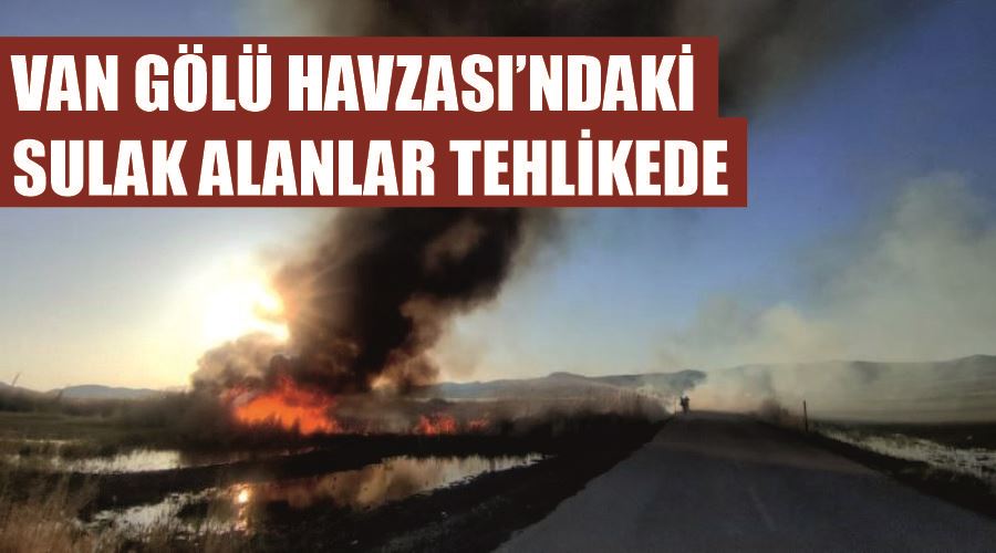Van Gölü Havzası’ndaki sulak alanlar tehlikede