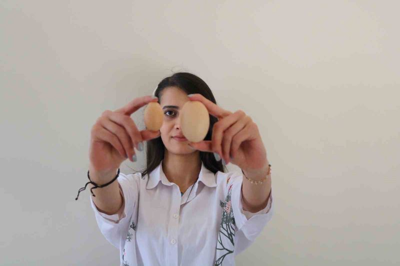 Elazığ’da tavuğun yaptığı mini yumurta şaşırttı
