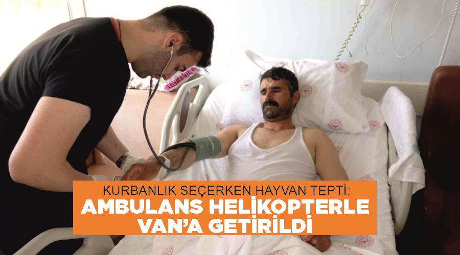 Kurbanlık seçerken hayvan tepti: Ambulans helikopterle Van’a getirildi