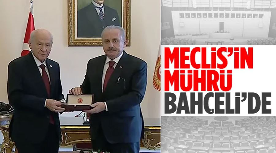  Devlet Bahçeli, TBMM Başkanlığı