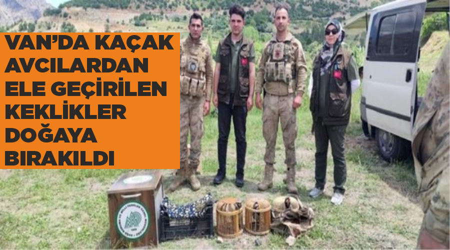 Van’da kaçak avcılardan ele geçirilen keklikler doğaya bırakıldı