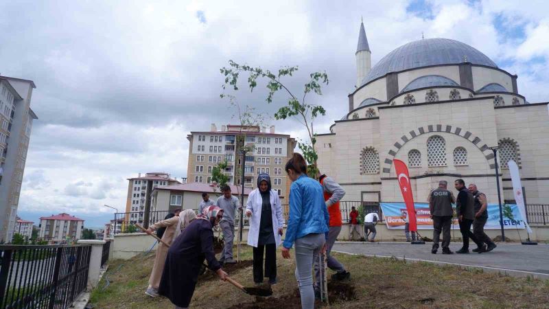 Erzurum Sağlık Müdürlüğü’nden fidan dikimi
