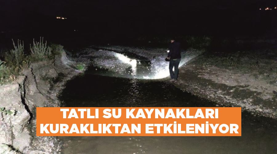 Tatlı su kaynakları kuraklıktan etkileniyor