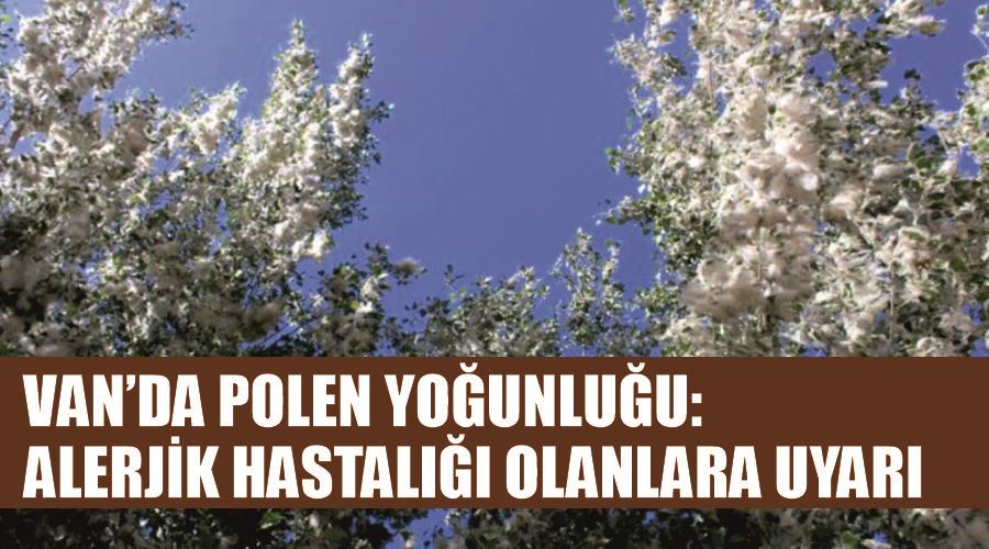 Van’da polen yoğunluğu: Alerjik hastalığı olanlara uyarı
