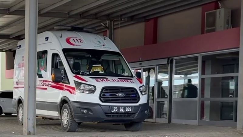 Vatandaşı tarlada yılan ısırdı
