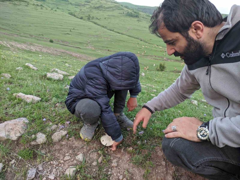 Ardahan’da yağışların ardından 