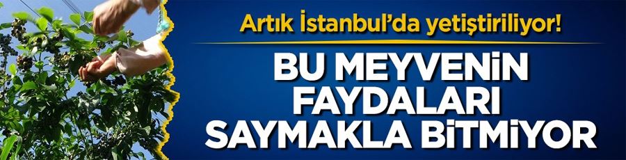 Artık İstanbul