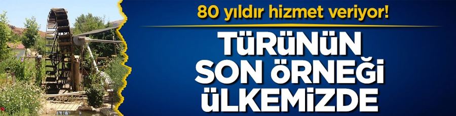 80 yıldır hizmet veriyor! Türünün son örneği ülkemizde 