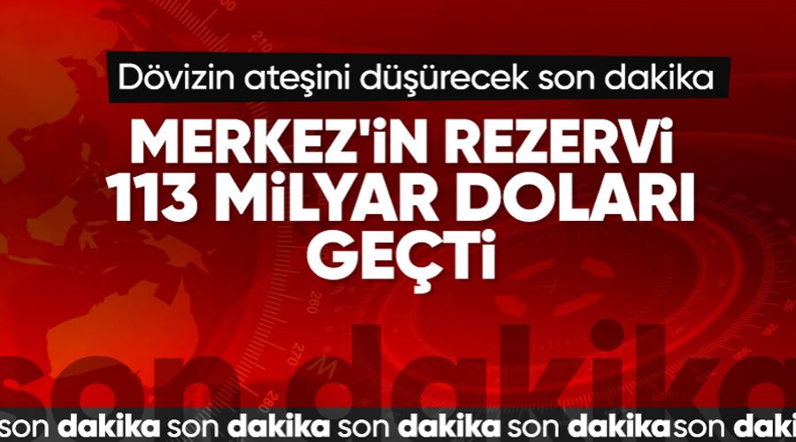 Hafize Gaye Erkan, Merkez Bankası