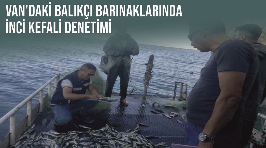 Van’daki balıkçı barınaklarında inci kefali denetimi