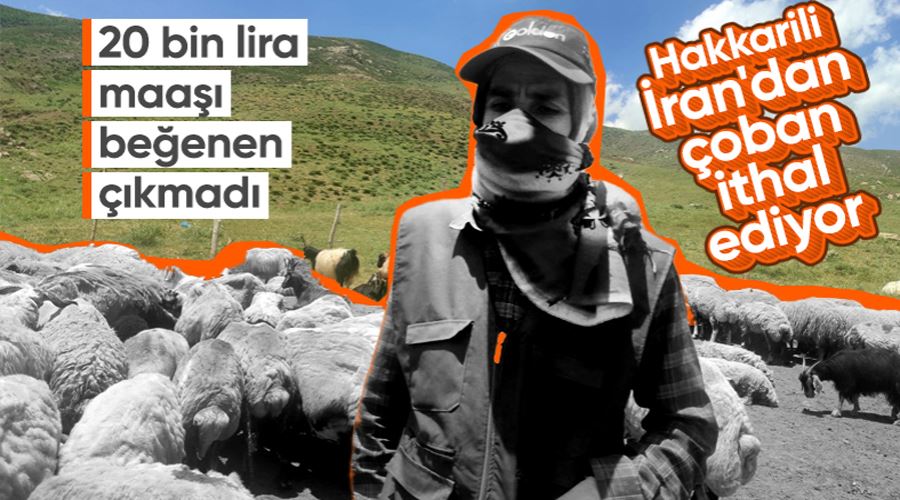 Hakkari