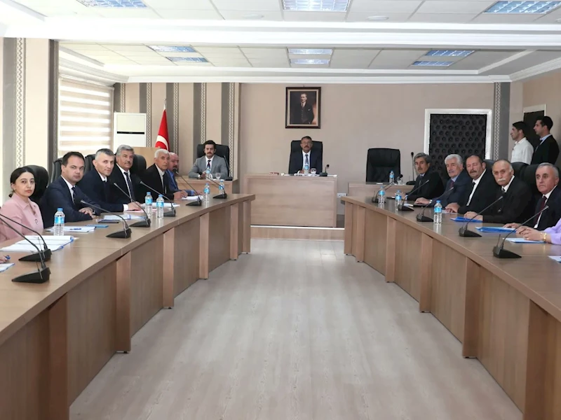 Vali Ali Çelik: 
