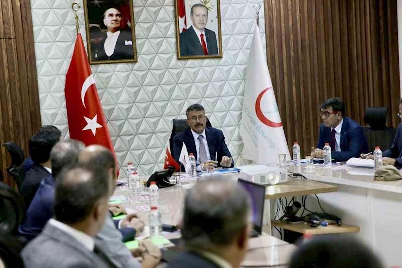 Vali Ali Çelik: 