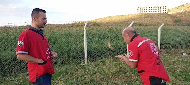 Kalp masajıyla hayata döndürülen minik kuş yeniden özgürlüğüne kavuştu
