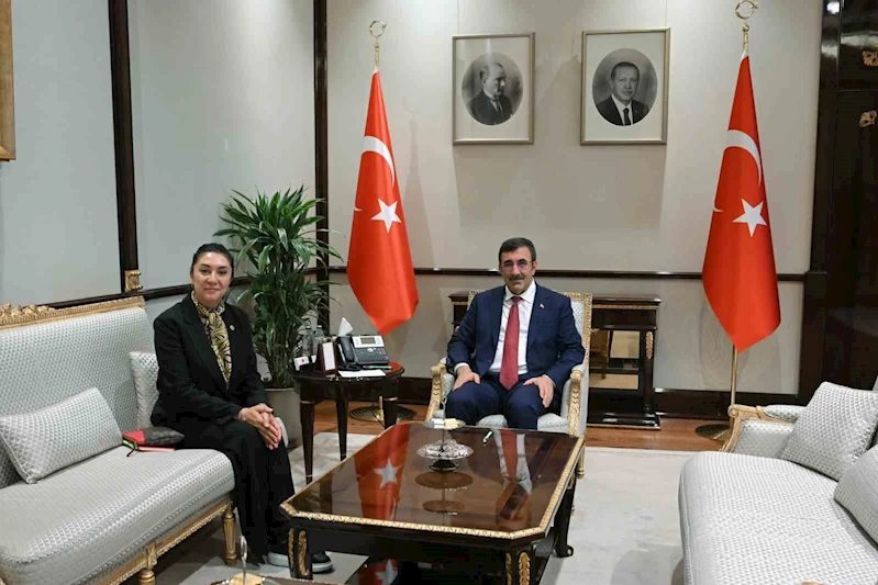 Cumhurbaşkanı Yardımcısı Yılmaz, Ağrı Milletvekili Kilerci ile görüştü
