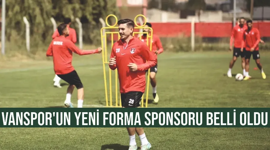Vanspor