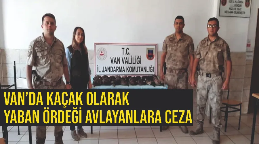 Van’da kaçak olarak yaban ördeği avlayanlara ceza