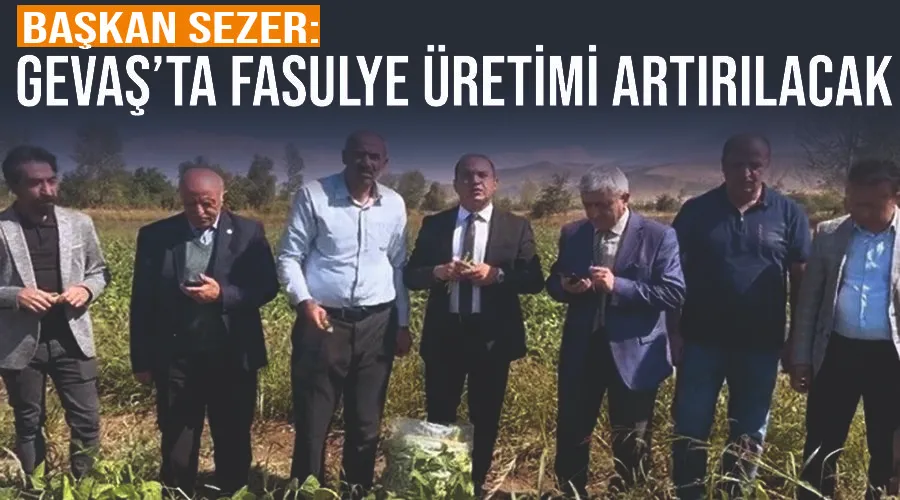 Başkan Sezer: Gevaş’ta fasulye üretimi artırılacak