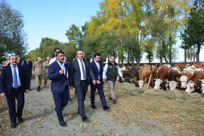 Vali Çiçek, Göle TİGEM’de incelemelerde bulundu
