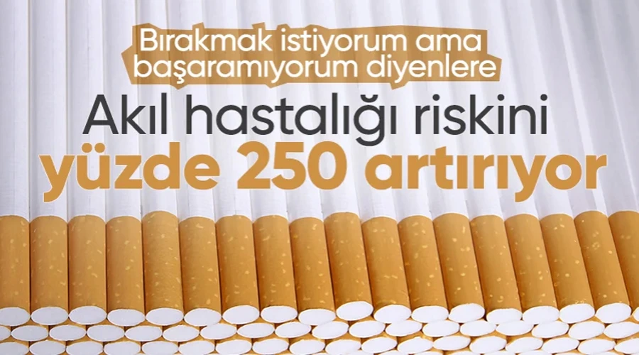 Sigara akıl hastalığı riskini yüzde 250 artırıyor