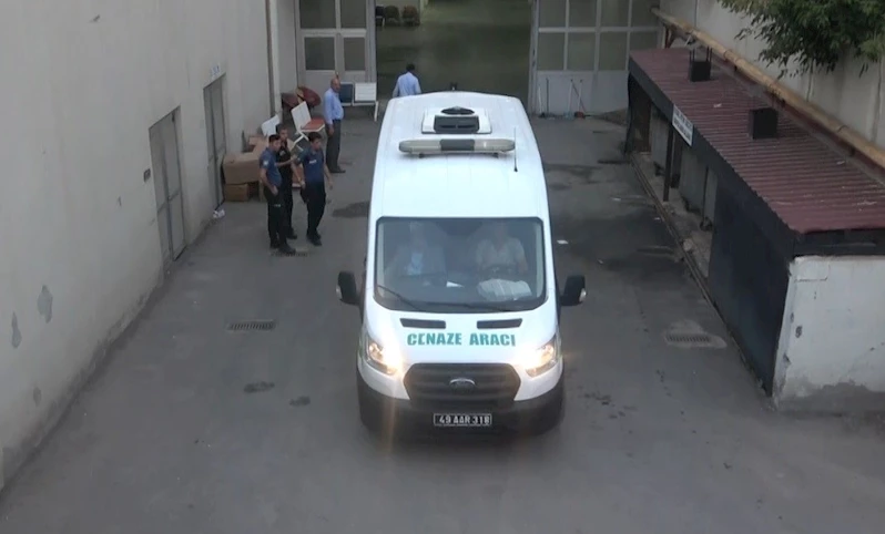 İntihara kalkışan ablasını öldü sandı, aynı silahla kendini de vurdu
