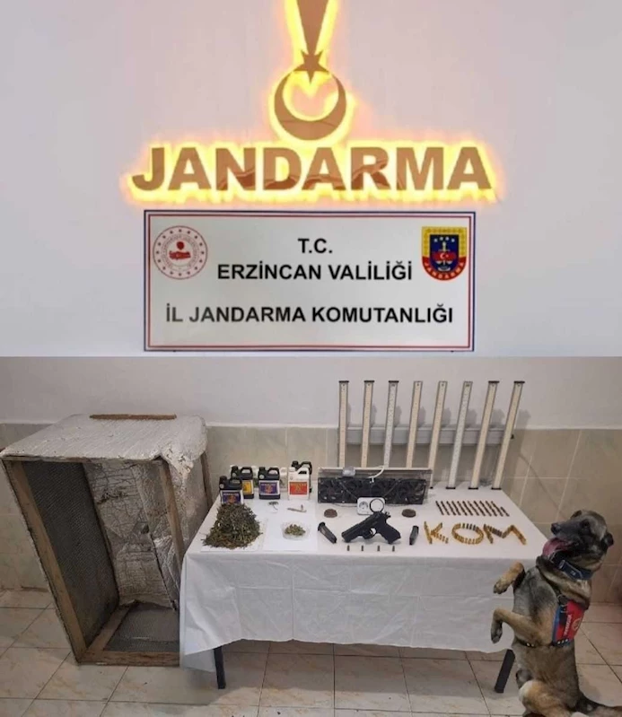 Evinde uyuşturucu yetiştiren 1 kişi gözaltına alındı

